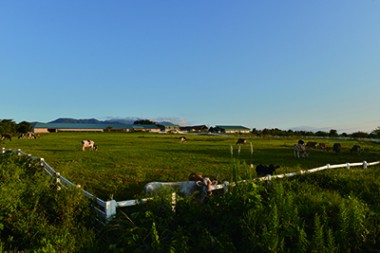 MOOガーデン