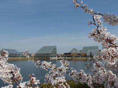 富山県中央植物園