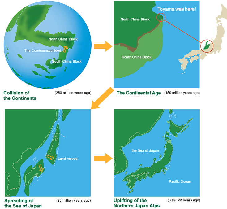 History of 3,800 million years in the earth