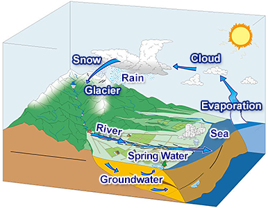 Water circulation