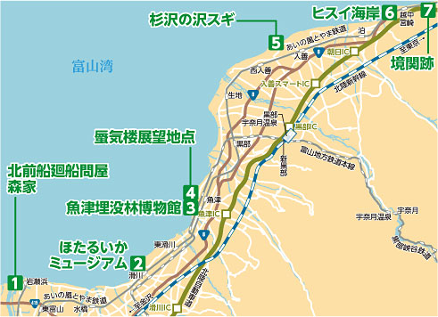 深海1,000ｍ 富山湾の恵みコース