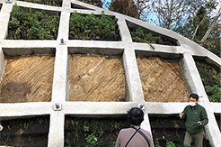 富山市民俗民芸館村　陶芸館裏の地層