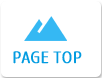 PAGE TOP