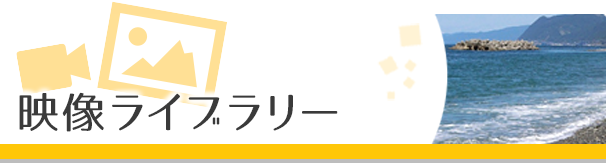 映像ライブラリー